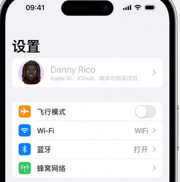 河津appleID维修服务iPhone设置中Apple ID显示为灰色无法使用 