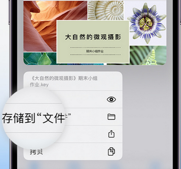 河津apple维修中心分享iPhone文件应用中存储和找到下载文件