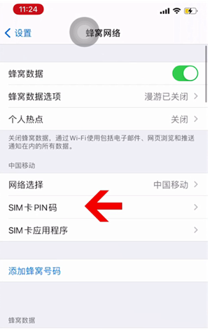 河津苹果14维修网分享如何给iPhone14的SIM卡设置密码 