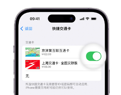 河津apple维修点分享iPhone上更换Apple Pay快捷交通卡手绘卡面 