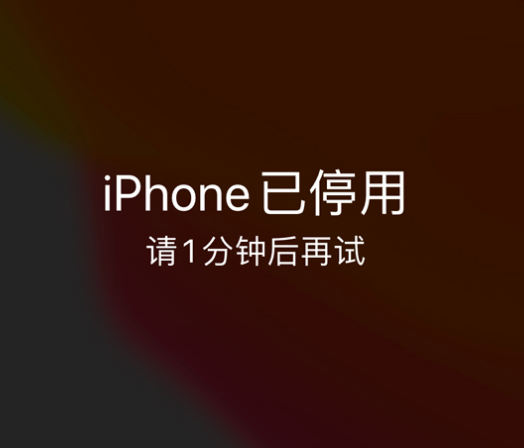 河津苹果手机维修分享:iPhone 显示“不可用”或“已停用”怎么办？还能保留数据吗？ 