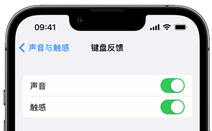 河津苹果手机维修分享iPhone 14触感键盘使用方法 