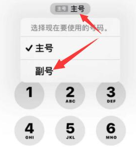 河津苹果14维修店分享iPhone 14 Pro Max使用副卡打电话的方法 