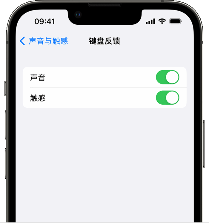 河津苹果14维修分享iPhone 14 系列机型如何开启键盘声音或触感反馈 