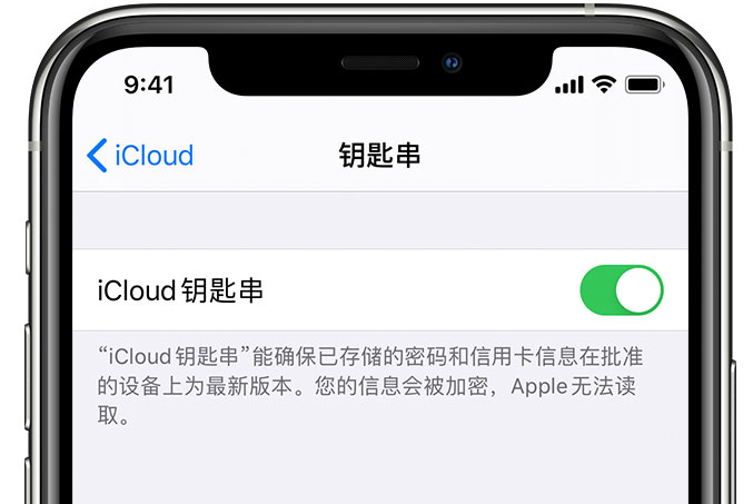 河津苹果手机维修分享在 iPhone 上开启 iCloud 钥匙串之后会储存哪些信息 