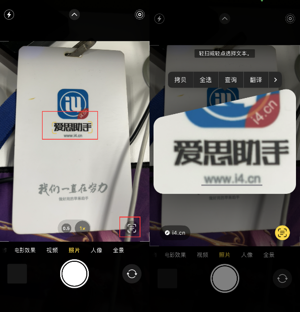 河津苹果手机维修分享升级iOS 16后如何通过相机翻译文本 