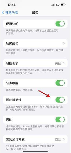 河津苹果手机维修分享iPhone手机如何设置摇一摇删除文字 