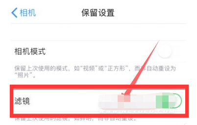 河津苹果13维修分享iPhone13拍照有绿点是怎么回事 