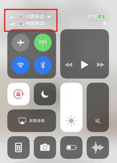 河津苹果手机维修分享为 iPhone 12 双卡设置标签 